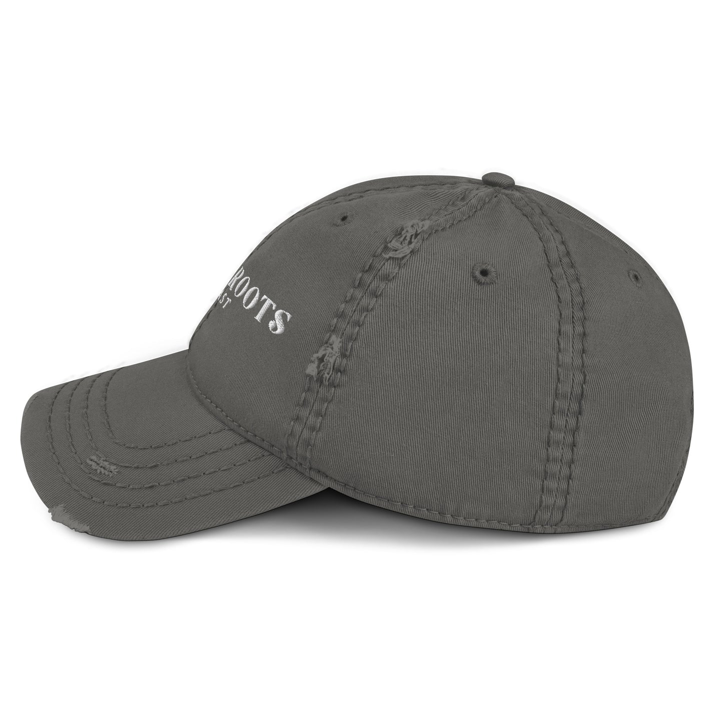 Blonde Roots Distressed Hat